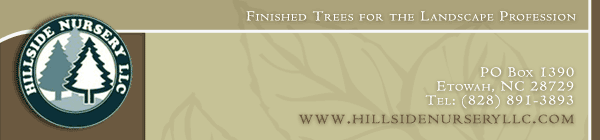 Printed from Hillside Nursery, LLC